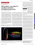 Cover page: BMP gradients: A paradigm for morphogen-mediated developmental patterning