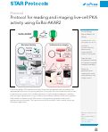 Cover page: Protocol for reading and imaging live-cell PKA activity using ExRai-AKAR2.