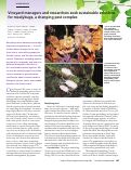 Cover page: Vineyard managers and researchers seek sustainable solutions for mealybugs, a changing pest complex