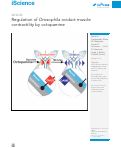 Cover page: Regulation of Drosophila oviduct muscle contractility by octopamine