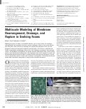 Cover page: Multiscale Modeling of Membrane Rearrangement, Drainage, and Rupture in Evolving Foams