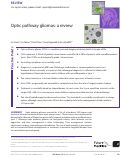 Cover page: Optic pathway gliomas: a review