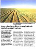 Cover page: Combining bensulide and pendimethalin controls weeds in onions