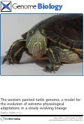 Cover page: The western painted turtle genome, a model for the evolution of extreme physiological adaptations in a slowly evolving lineage