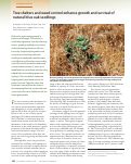 Cover page: Tree shelters and weed control enhance growth and survival of natural blue oak seedlings