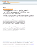 Cover page: TurboID-based proximity labeling reveals that UBR7 is a regulator of N NLR immune receptor-mediated immunity