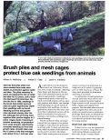 Cover page: Brush piles and mesh cages protect blue oak seedlings from animals