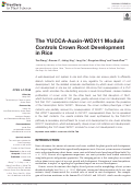 Cover page: The YUCCA-Auxin-WOX11 Module Controls Crown Root Development in Rice