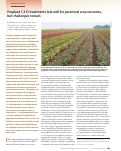 Cover page: Preplant 1,3-D treatments test well for perennial crop nurseries, but challenges remain