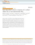 Cover page: Spin-dependent vibronic response of a carbon radical ion in two-dimensional WS2
