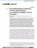 Cover page: Sexual dimorphism of detrusor function demonstrated by urodynamic studies in rhesus macaques