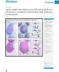 Cover page: Lipid metabolism dysfunction following symbiont elimination is linked to altered Kennedy pathway homeostasis