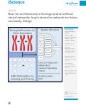 Cover page: Bow-tie architectures in biological and artificial neural networks: Implications for network evolution and assay design.