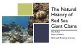 Cover page: The Natural History of Red Sea Giant Clams