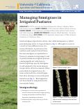 Cover page: Managing Smutgrass in Irrigated Pastures