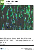 Cover page: Endothelial cells derived from embryonic stem cells respond to cues from topographical surface patterns