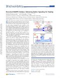 Cover page: Exosomal NADPH Oxidase: Delivering Redox Signaling for Healing