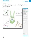 Cover page: Analysis of biological noise in the flagellar length control system