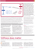Cover page: Stiffness does matter