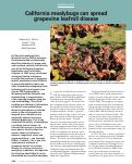 Cover page: California mealybugs can spread grapevine leafroll disease