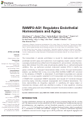 Cover page: RAMP2-AS1 Regulates Endothelial Homeostasis and Aging