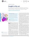 Cover page: Caught in the act