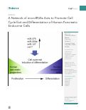 Cover page: A Network of microRNAs Acts to Promote Cell Cycle Exit and Differentiation of Human Pancreatic Endocrine Cells