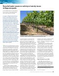 Cover page: Recycled water causes no salinity or toxicity issues in Napa vineyards