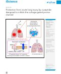 Cover page: Protection from acute lung injury by a peptide designed to inhibit the voltage-gated proton channel.