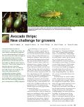 Cover page: Avocado thrips: New challenge for growers
