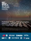 Cover page: The Net Zero World Initiative’s Preliminary Analysis of Decarbonization Pathways for Five Countries