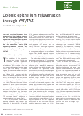 Cover page: Colonic epithelium rejuvenation through YAP/TAZ