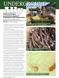 Cover page: Natural Fungal Protection Against Sugarbeet Cyst Nematodes