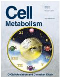 Cover page: Glucose sensor O-GlcNAcylation coordinates with phosphorylation to regulate circadian clock.