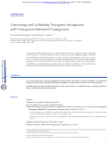 Cover page: Generating and Validating Transgenic Mosquitoes with Transposon-Mediated Transgenesis.