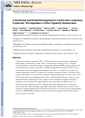 Cover page: Craniofacial and dental development in cardio‐facio‐cutaneous syndrome: the importance of Ras signaling homeostasis