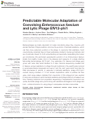 Cover page: Predictable Molecular Adaptation of Coevolving Enterococcus faecium and Lytic Phage EfV12-phi1