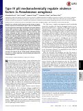 Cover page: Type IV pili mechanochemically regulate virulence factors in Pseudomonas aeruginosa