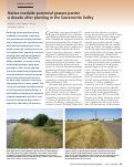 Cover page: Native roadside perennial grasses persist a decade after planting in the Sacramento Valley