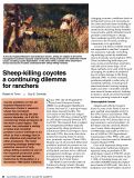 Cover page: Sheep-killing coyotes a continuing dilemma for ranchers