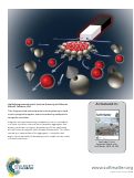 Cover page: Magnetic field induced quantum dot brightening in liquid crystal synergized magnetic and semiconducting nanoparticle composite assemblies