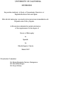 Cover page: Más allá del anticuerpo: un estudio de las narraciones transatlánticas de Nepantla entre Cuba y España
