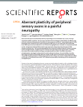 Cover page: Aberrant plasticity of peripheral sensory axons in a painful neuropathy.