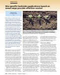 Cover page: Site-specific herbicide applications based on weed maps provide effective control