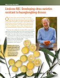 Cover page: Lindcove REC: Developing citrus varieties resistant to huanglongbing disease