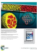 Cover page: Direct observation of the kinetics of gas–solid reactions using in situ kinetic and spectroscopic techniques