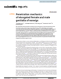 Cover page: Penetration mechanics of elongated female and male genitalia of earwigs