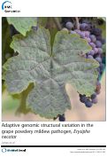 Cover page: Adaptive genomic structural variation in the grape powdery mildew pathogen, Erysiphe necator