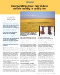Cover page: Incorporating straw may induce sulfide toxicity in paddy rice