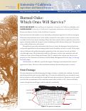 Cover page: Burned Oaks: Which Ones Will Survive?